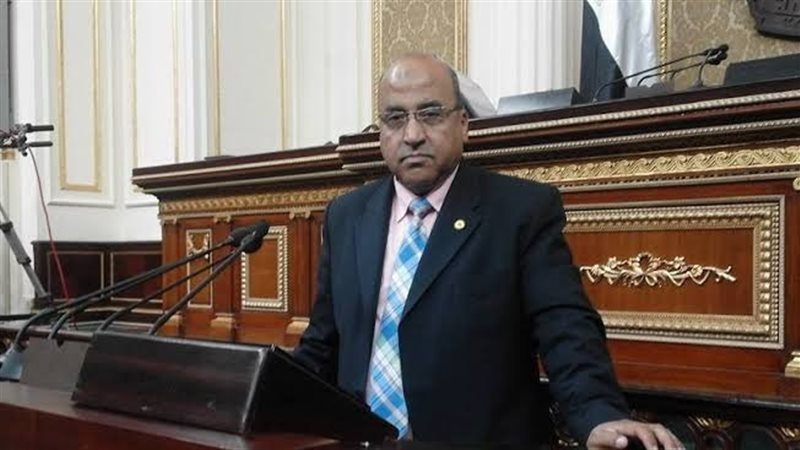النائب عبد الرازق