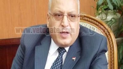 محافظ الدقهلية: فشلنا فى القضاء على السحابة السوداء!