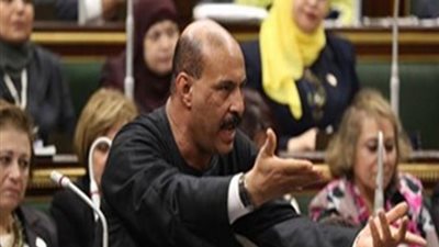 برلماني يطالب بوقف بيع قطعة أرض في مزاد علني بنجع حمادي