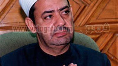 اتهام شيخ الأزهر والمفتى بالتآمر على ثورة 25 يناير