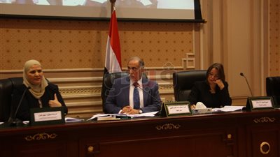 تضامن النواب تطالب الحكومة بالتصدي لحملات تشويه سمعة مصر بالخارج