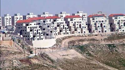 الأزهر يستنكر الموقف الأمريكي تجاه المستوطنات الصهيونية