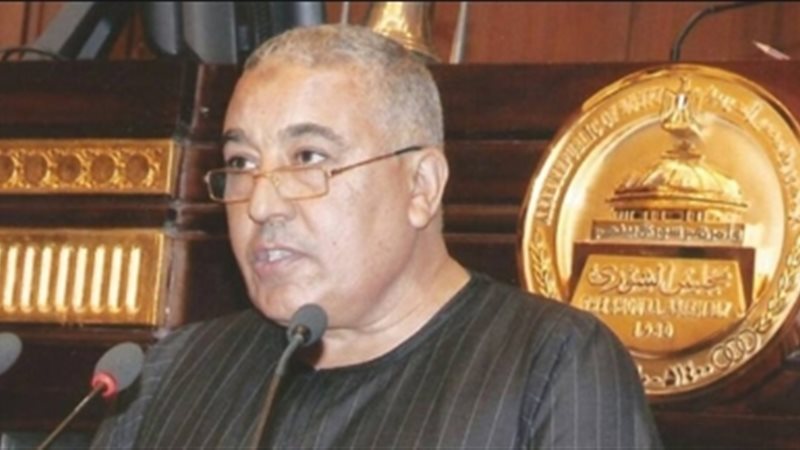 النائب سيد أحمد عيسى،