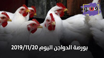 بورصة الدواجن.. أسعار الدواجن اليوم 2019/11/20
