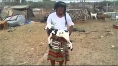 بالفيديو.. «الخروف المعجزة» يشعل مواقع التواصل في السعودية