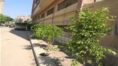 البيئة تنتهى من زراعة ٣٥٠٠ شجرة بالقليوبية والقاهرة