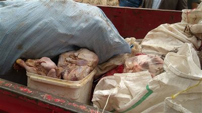 ضبط نصف طن لحوم غير صالحة للاستخدام الآدمي بالخصوص (صور)
