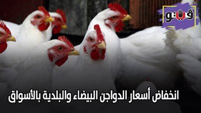 انخفاض أسعار الدواجن البيضاء والبلدية بالأسواق