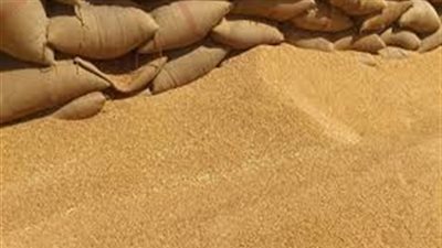 زراعة الغربية: توريد 110 آلاف طن قمح بالشون والصوامع