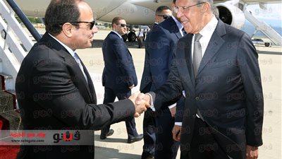 خبير روسي: نسعى لمضاعفة التبادل التجاري والصناعي مع مصر