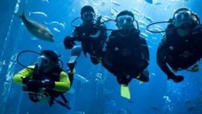 السياحة توقف قبول طلبات جديدة لترخيص مراكز الغوص ويخوت السفاري بمحافظتين لمدة عام