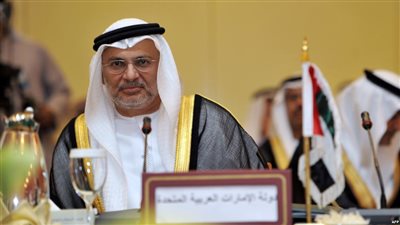 قرقاش يكشف المتورطين في إثارة «أزمة سقطرى»