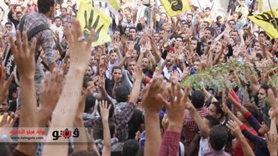 ننشر خطة التنظيم الدولي لـ«الإخوان» لنشر الفوضي أثناء الاستفتاء