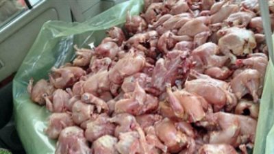 ضبط 366 كيلو «فراخ» فاسدة بأحد المطاعم الشهيرة بالمنيا