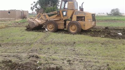 إزالة 6 مشاتل أرز مخالفة بالقليوبية (صور)