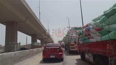 شون وصوامع الدقهلية تستقبل 163 ألفا و475 طنا