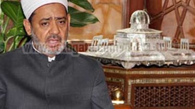 الطيب يلتقى وفدا من الكنائس المصرية .. غدا