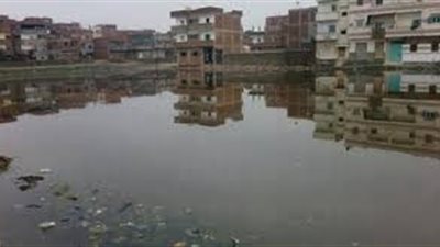 برلماني: «هتحصل بلوى سودة في البحيرة بسبب المياه»