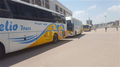 الزمالك يوفر حافلات لنقل الأعضاء لبرج العرب (صور)