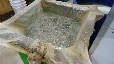 غلق وتشميع منشأتين غذائيتين لتصنيع منتجات الألبان في الشرقية (صور)