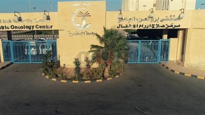 مستشفى برج العرب الجامعي لأورام الأطفال: نسبة الشفاء تصل إلى 70%