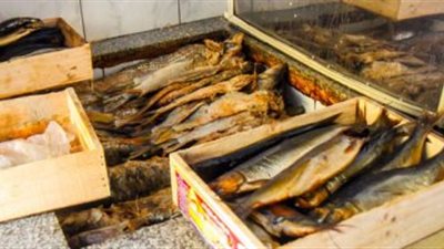 ضبط 750 كيلو رنجة فاسدة داخل مصنع بالغربية