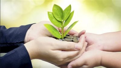 هل إعطاء الزكاة للأقارب يضاعف الثواب والأجر؟.. دار الإفتاء تجيب