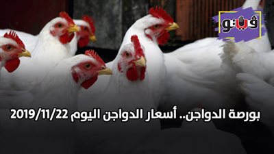 بورصة الدواجن.. اسعار الدواجن اليوم 2019/11/22