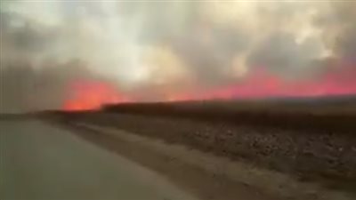 الطائرات الورقية الفلسطينية تشعل محصول القمح للإسرائيليين «فيديو»