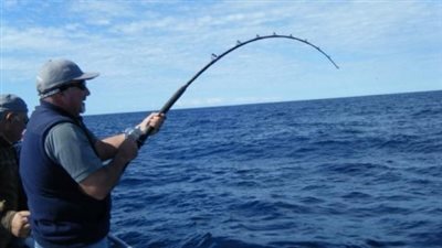 بطولة الغردقة المفتوحة للصيد‏ بـ