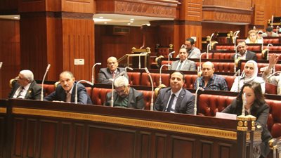 حماية المستهلك: ٥٩ قناة تبث إعلانات مضللة