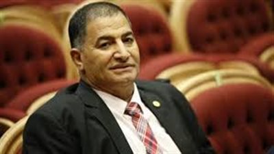 البدرى ضيف: قمة العشرين بألمانيا تفتح الباب لمزيد من الاستثمارات في مصر