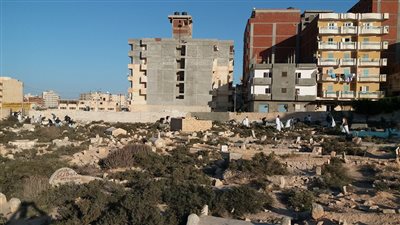 شباب مطروح يطلقون مبادرة لتنظيف منطقة مقابر طريق السلوم (صور)