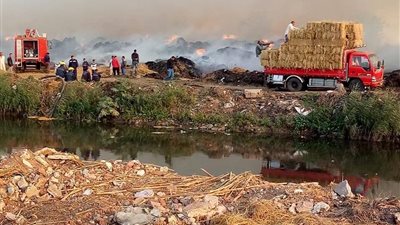 5 سيارات إطفاء للسيطرة على حريق بـ 4 أفدنة لتشوين قش الأرز بالدقهلية