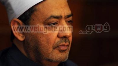 الطيب يناقش تفعيل منظمات الدعوة والإغاثة فى مصر