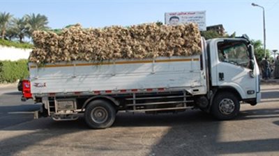 ضبط ١٠ سيارات مخالفة من سوق الجملة بـ