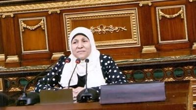 نائبة تطالب الحكومة بالإعلان عن إجراءتها حول إدارة الديون
