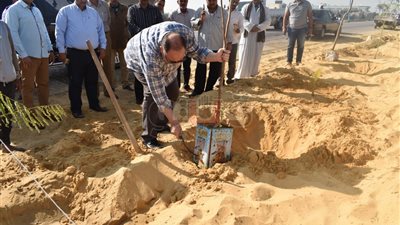 محافظ الفيوم يشارك في غرس 1000 شجرة لتجميل شاطئ بحيرة قارون (صور)