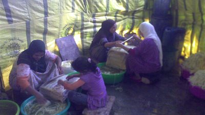 بالفيديو والصور.. 