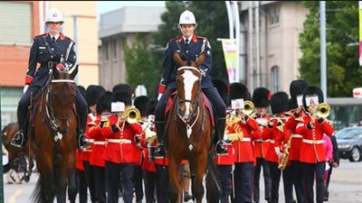 بالفيديو والصور.. 