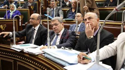 وزير المالية: مصر تحقق نموا اقتصاديا بشهادة صندوق النقد الدولى