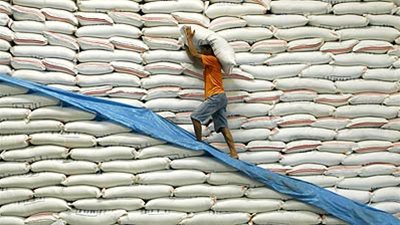 «الوزراء» يوافق على تصدير الأرز كمعونة للفلسطينيين