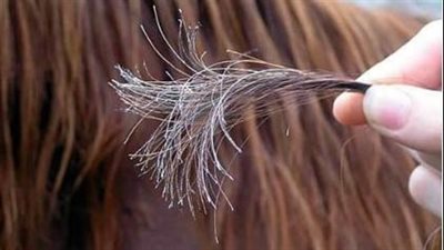 تعرفي على رباعية تقوية الشعر ولمعانه