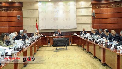 «قرارات اجتماع الوزراء»..إقرار قانون مكافحة جرائم الإبادة الجماعية.. تعديل شروط الحصول على وحدات الإسكان الاجتماعي.. تصدير الأرز كمعونة للفلسطينيين.. تنفيذ مشروعات طرق بالاتفاق المباشر