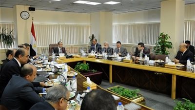 مجلس الوزراء: قرار صندوق النقد حول القرض ليس 