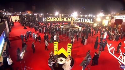 السينما المصرية تفشل في اختبار «القاهرة السينمائي».. نقاد يستنكرون غياب الأفلام المحلية عن النسخة 41.. غياب الكتيبات عن النجوم يثير التساؤل.. وماجدة خير الله: الإقبال الكبير شهادة نجاح للمهر