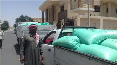 تسليم 30 طن قمح للبنك الزراعي بطور سيناء (صور)
