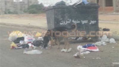 بالصور.. استياء أهالي «الشروق» من انتشار القمامة