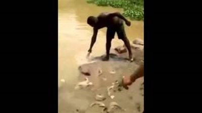 بالفيديو.. أسهل طريقة لصيد الأسماك