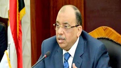 وزير التنمية المحلية: نضع كافة إمكانياتنا لخدمة أبناء القارة الأفريقية